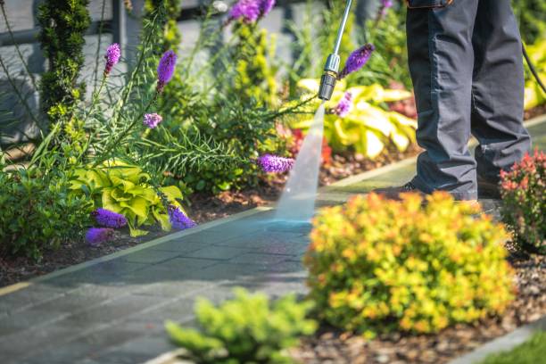 Best Patio and Deck Pressure Washing  in Stowell, TX
